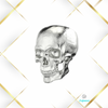 Pierścień "Skull Ring"